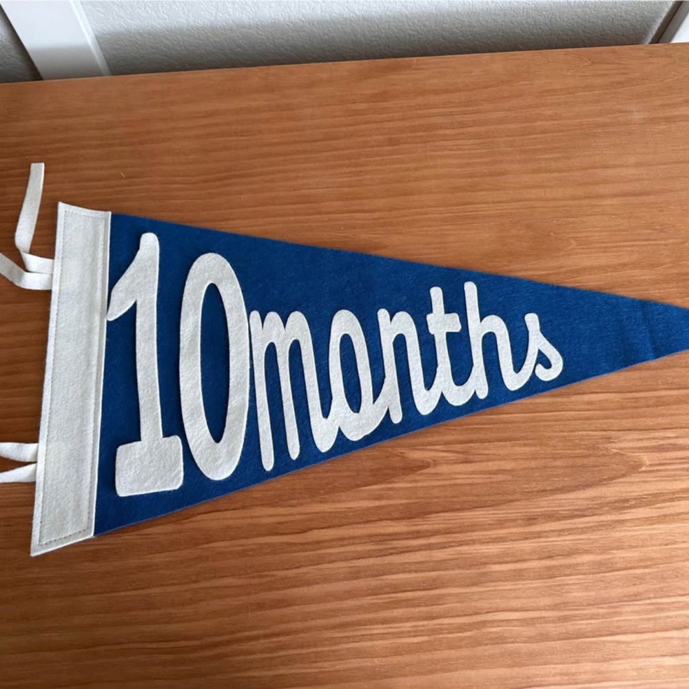 Blue and White Monthly Milestone Felt Pennant Banner